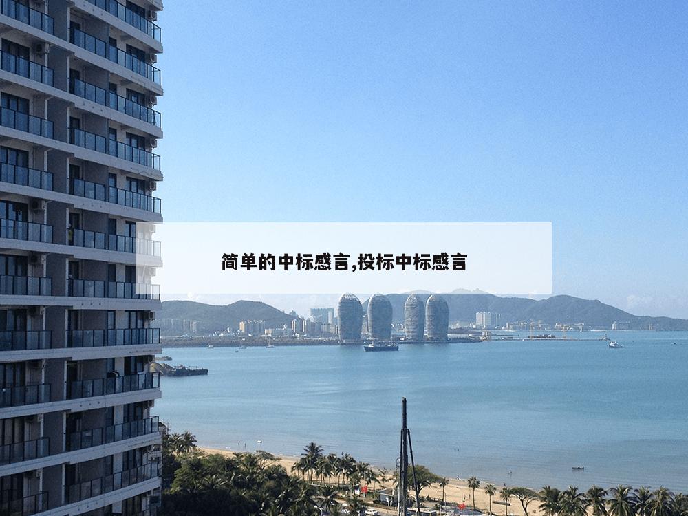 简单的中标感言,投标中标感言